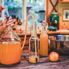 bottling home brew home-made cider -abundance