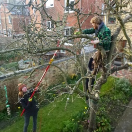 team-tree-pruning-rs-house-feb-2016-abundance
